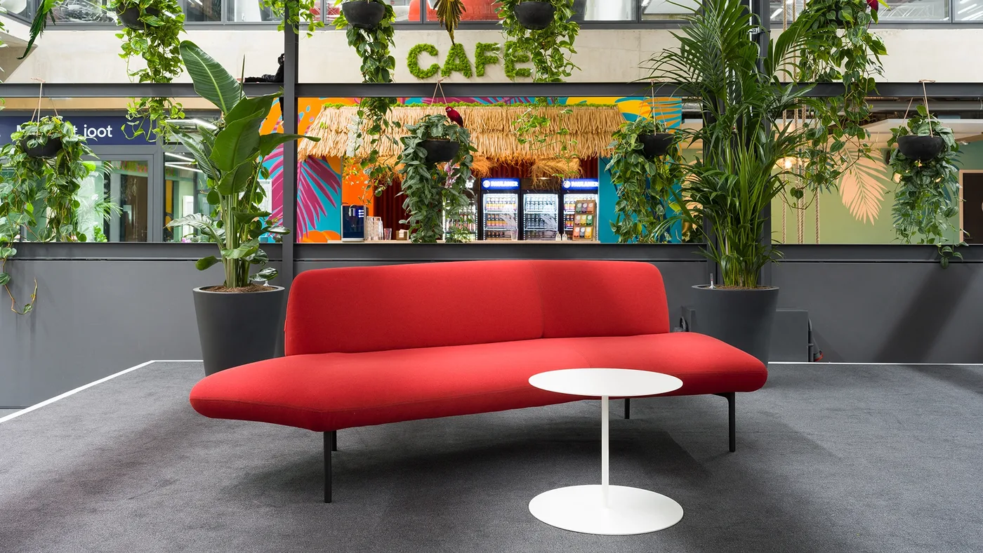 Rotes Freiform-Sofa vor der strohgedeckten Café-Bar